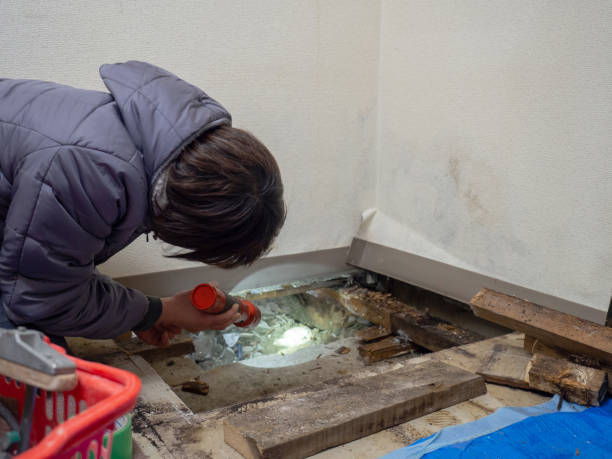 Best Real Estate Mold Inspection  in Mount Vernon, KY
