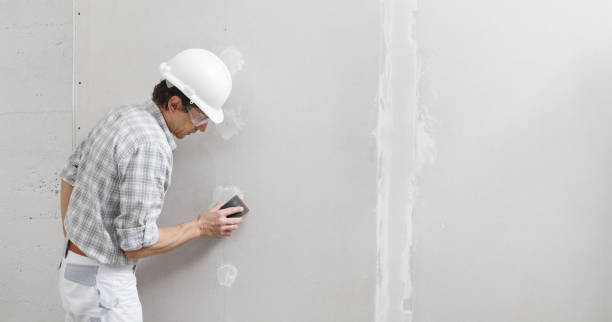 Best Dehumidification Services  in Mount Vernon, KY
