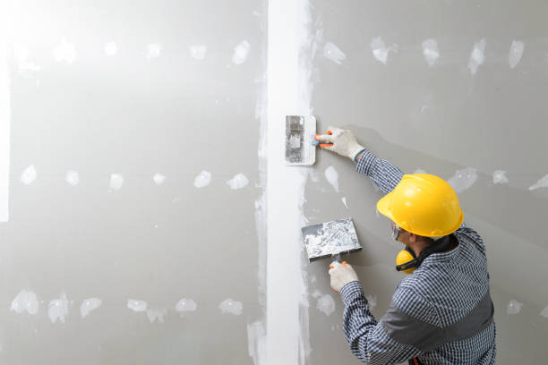 Mold Removal for HVAC Installations in Mount Vernon, KY