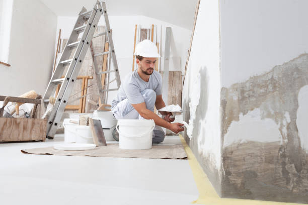 Best Comprehensive Air Testing for Mold Contaminants  in Mount Vernon, KY