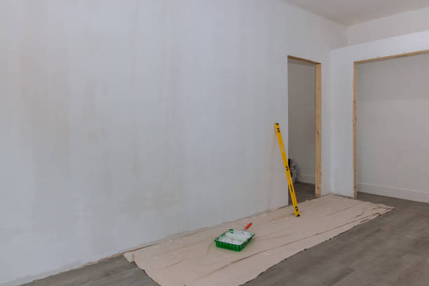 Best Mold Documentation for Insurance Claims  in Mount Vernon, KY