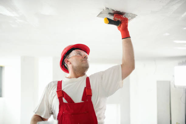 Best Forensic Mold Investigation  in Mount Vernon, KY