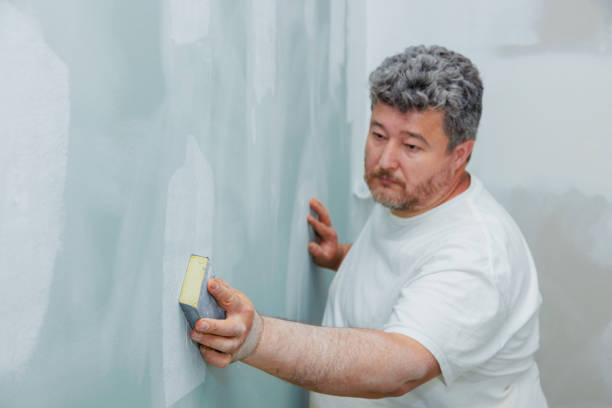 Best Mold Damage Restoration  in Mount Vernon, KY
