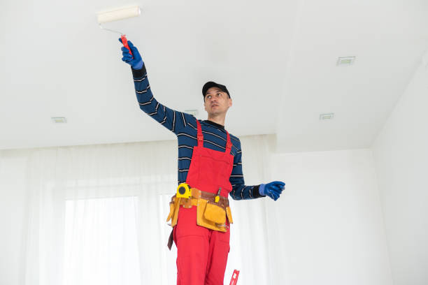 Best Asbestos and Lead Testing During Mold Inspection  in Mount Vernon, KY
