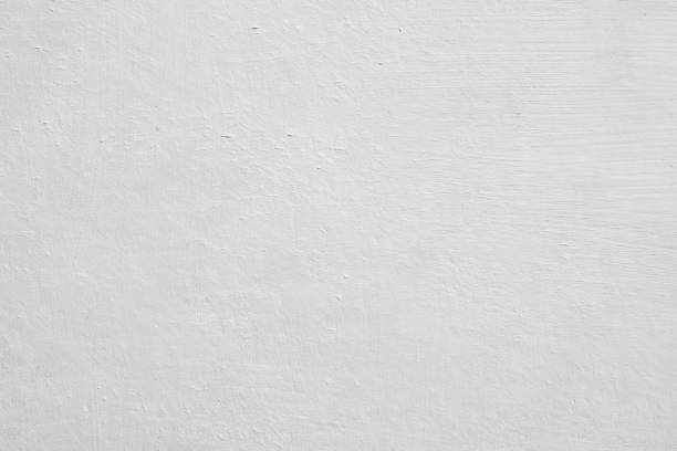 Best Mold Prevention Services  in Mount Vernon, KY