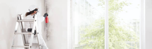 Best Industrial Mold Remediation  in Mount Vernon, KY
