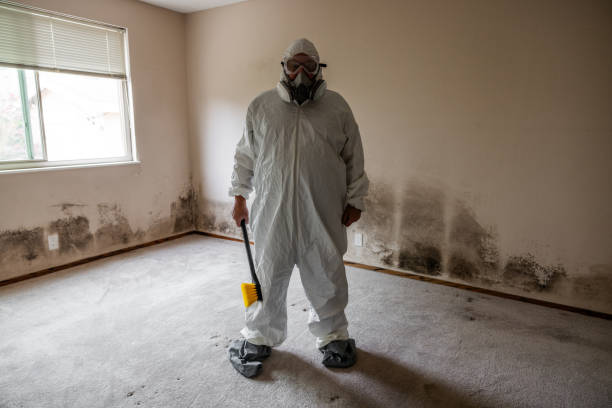 Best Airborne Mold Testing  in Mount Vernon, KY