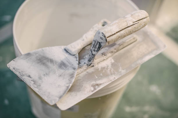 Best Mold Prevention Services  in Mount Vernon, KY